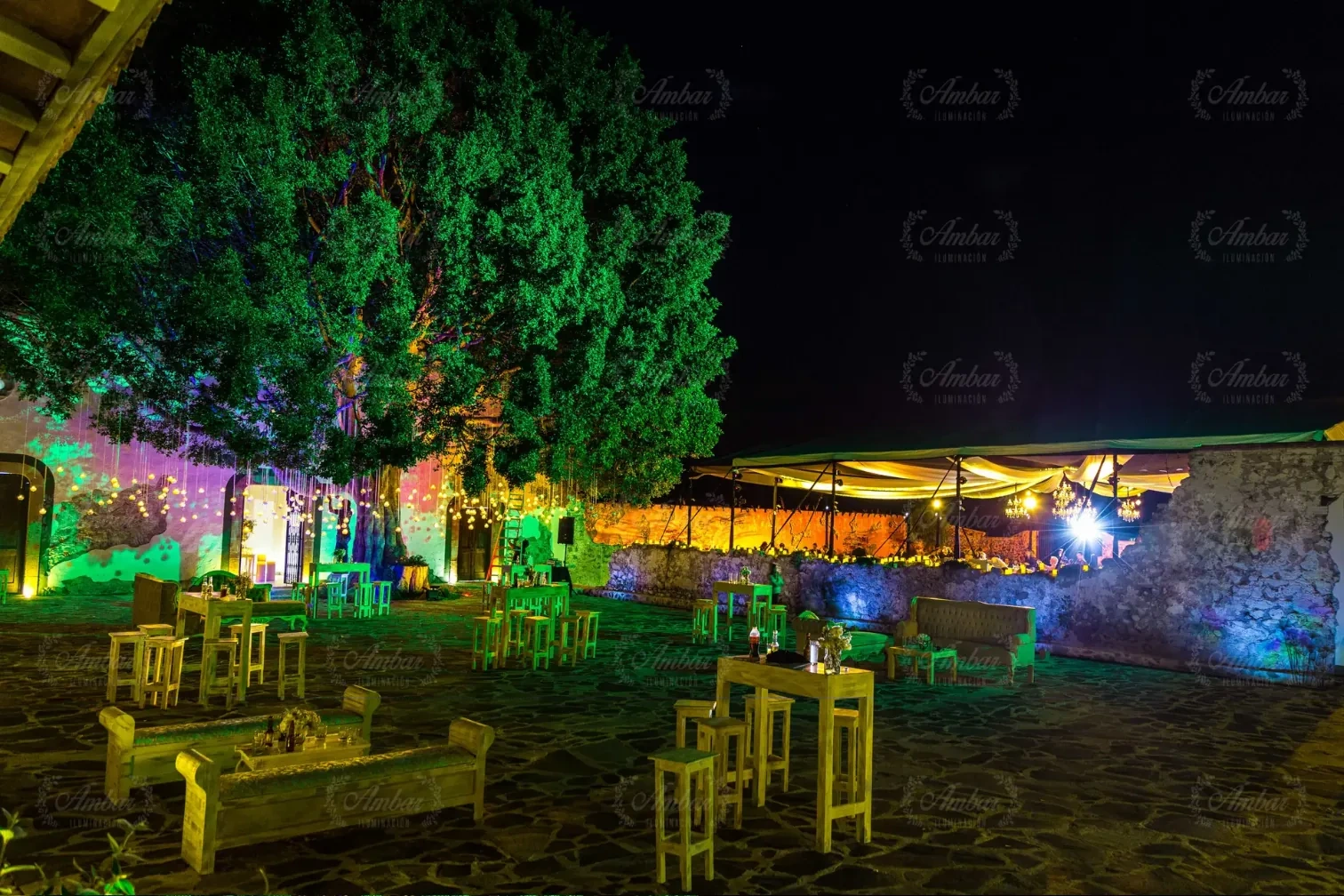 Árbol monumental iluminado sobre un patio con mesas
